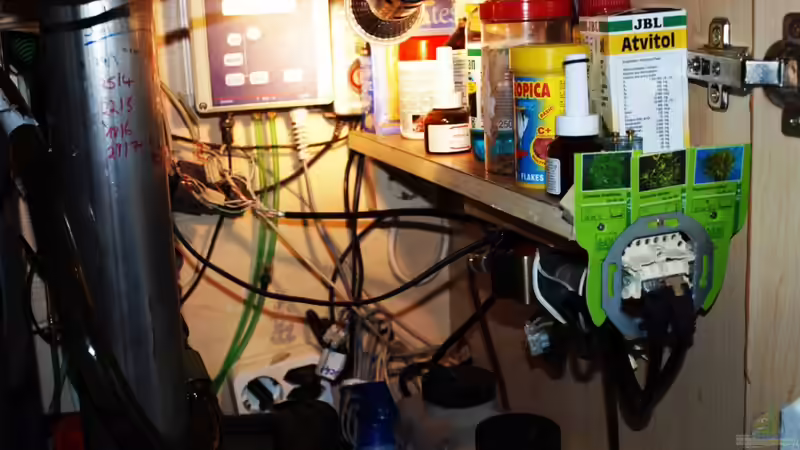 Technik im Aquarium Amazonas  nur noch Beispiel von peaches (26)