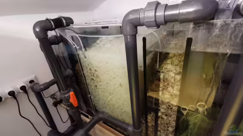 Technik im Aquarium Amazonas 4500l von Fritz Gartner (18)