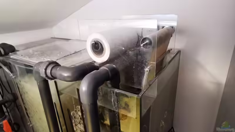 Technik im Aquarium Amazonas 4500l von Fritz Gartner (19)