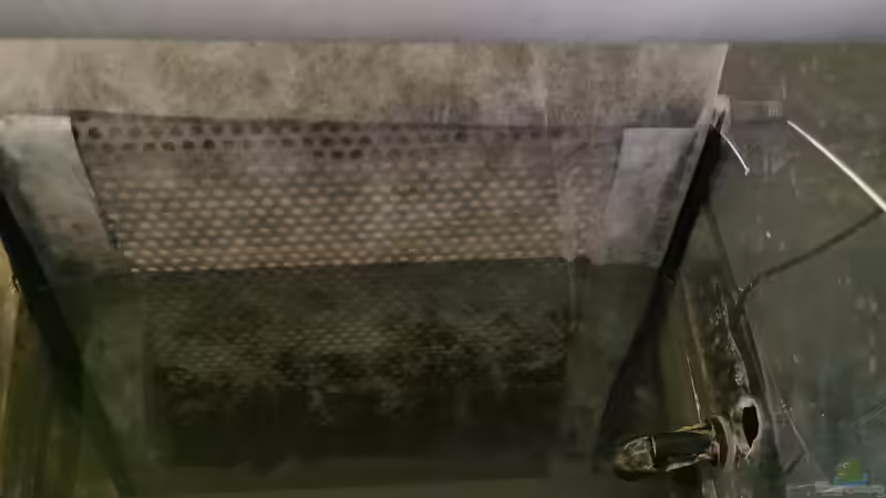 Technik im Aquarium Amazonas 4500l von Fritz Gartner (22)