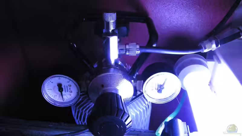 Technik im Aquarium ~Amazonas~ Amano-Stil von Diskus-Freak®aka Benny&Anja (38)