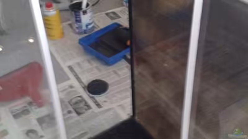 Technik im Aquarium Amazonas Aufzucht (aufgelöst) von Zigermandli (14)