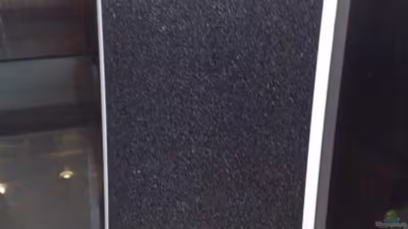 Technik im Aquarium Amazonas Aufzucht (aufgelöst) von Zigermandli (15)