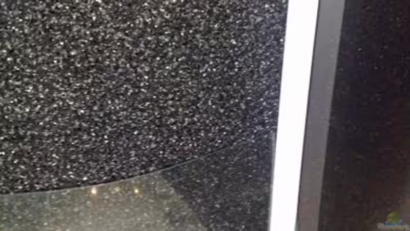 Technik im Aquarium Amazonas Aufzucht (aufgelöst) von Zigermandli (16)