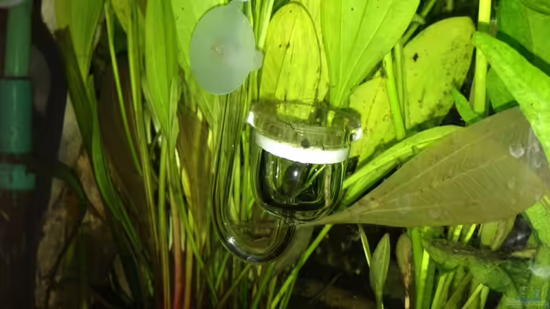 Technik im Aquarium Amazonas von Benny Visconti (18)