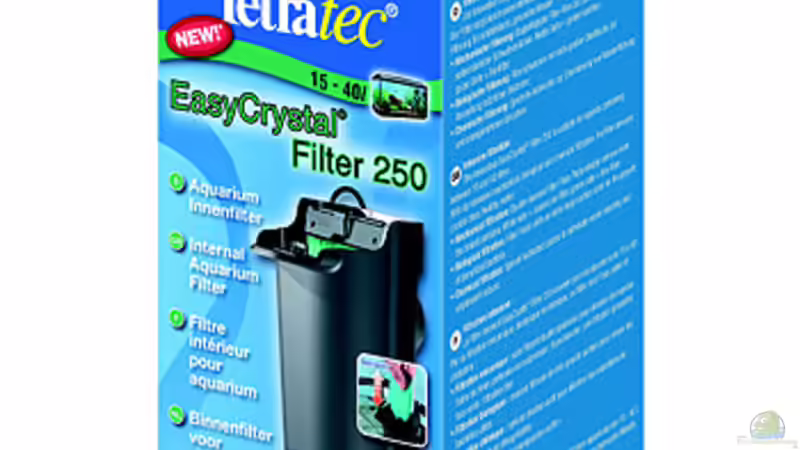 Technik im Aquarium Asienbecken mit Boraras urophthalmoides von Kuller (3)