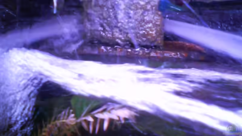 Technik im Aquarium Atlantis von LaEy (50)