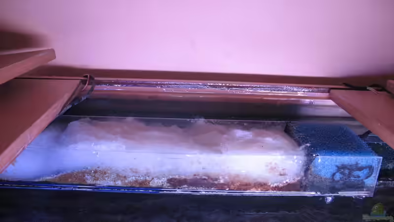 Technik im Aquarium Atlantis von LaEy (53)