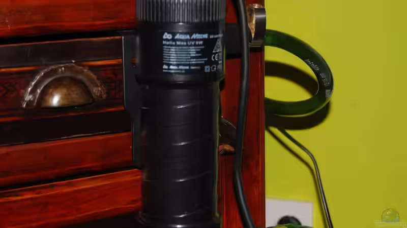 Technik im Aquarium Aufzucht Rocio (nur noch Beispiel) von ml69 (12)