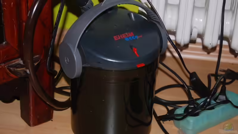 Technik im Aquarium Aufzucht Rocio (nur noch Beispiel) von ml69 (13)