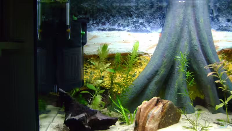 Technik im Aquarium Aufzuchtbecken von Franz Wüest (6)