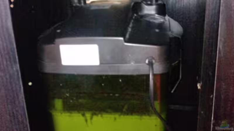 Technik im Aquarium bearbeitung es kommt ein neues mit 450L bilder sin von Ronny Lehmann (16)