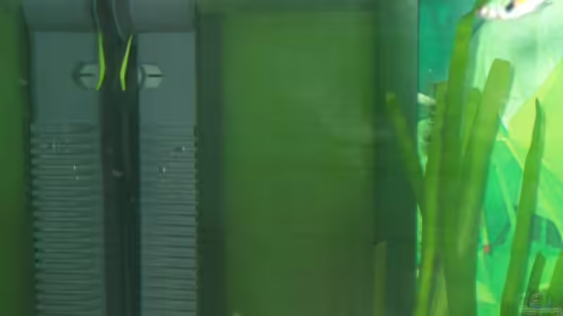 Technik im Aquarium Becken 10052 von Maximilian Liebl (13)