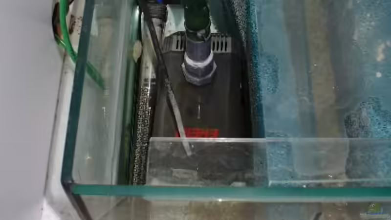 Technik im Aquarium Becken 10132 von Juergen Arnold (5)