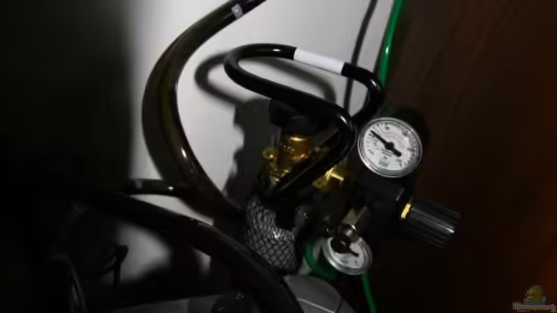 Technik im Aquarium Becken 10384 von Stefan K (22)