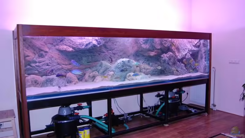 Technik im Aquarium Becken 10590 von Wietze Bron (68)