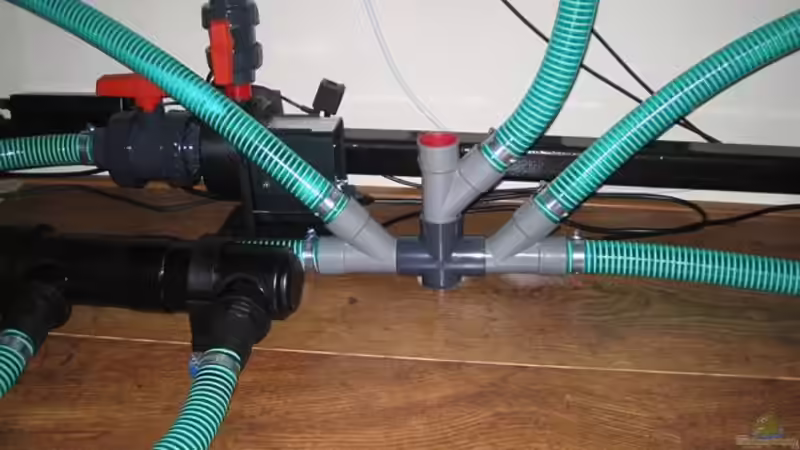 Technik im Aquarium Becken 10590 von Wietze Bron (71)