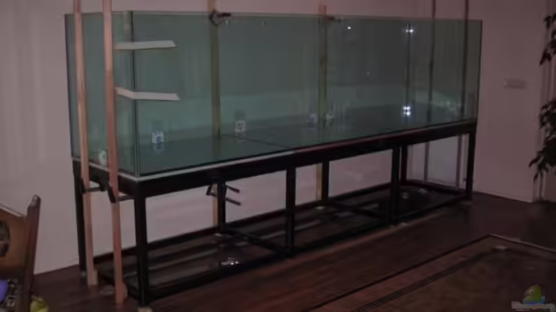 Technik im Aquarium Becken 10590 von Wietze Bron (80)