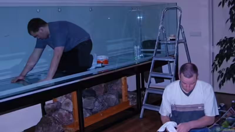 Technik im Aquarium Becken 10590 von Wietze Bron (81)