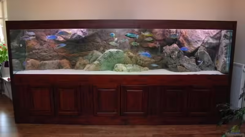 Technik im Aquarium Becken 10590 von Wietze Bron (87)