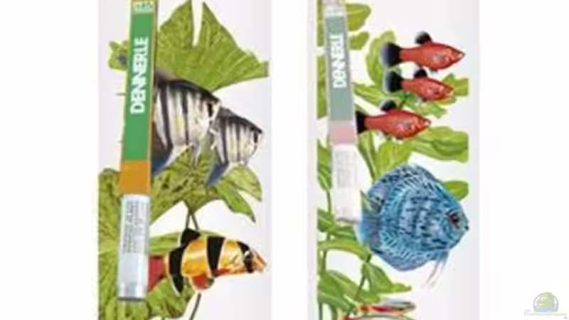 Technik im Aquarium Becken 10639 von Samsa (17)