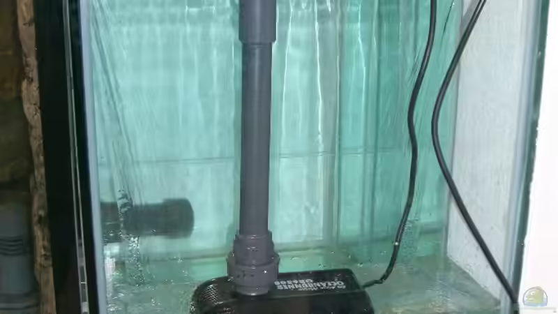 Technik im Aquarium Becken 1069 von Christoph Fetten (5)