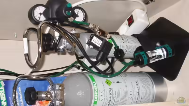 Technik im Aquarium Becken 10729 von Schildi (12)