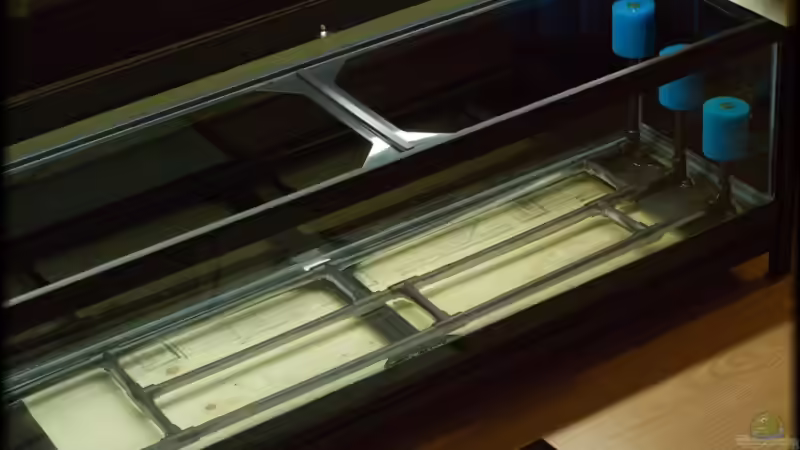 Technik im Aquarium Becken 10799 von hempi23 (5)