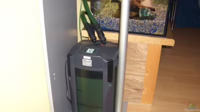 Technik im Aquarium Becken 1082 von Michael Meier (7)