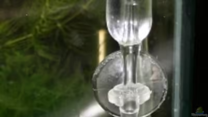 Technik im Aquarium Becken 10845 von StefanE. (5)