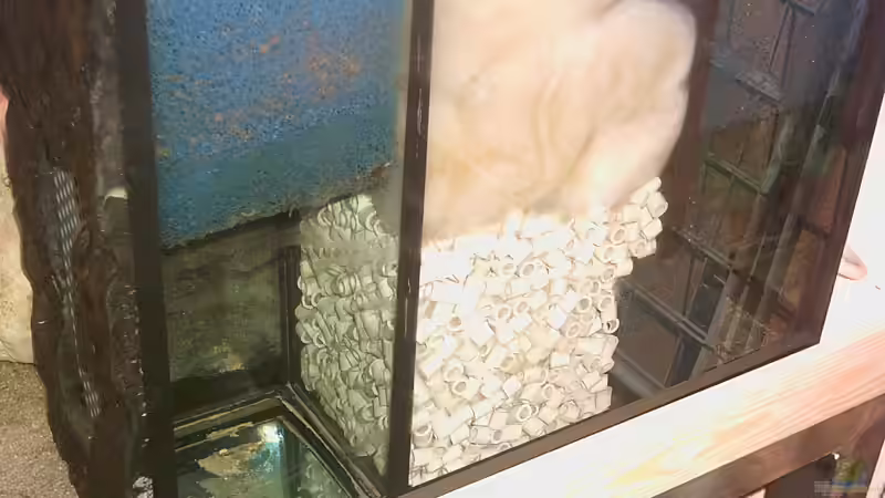 Technik im Aquarium Becken 1096 von Armin Lange (5)