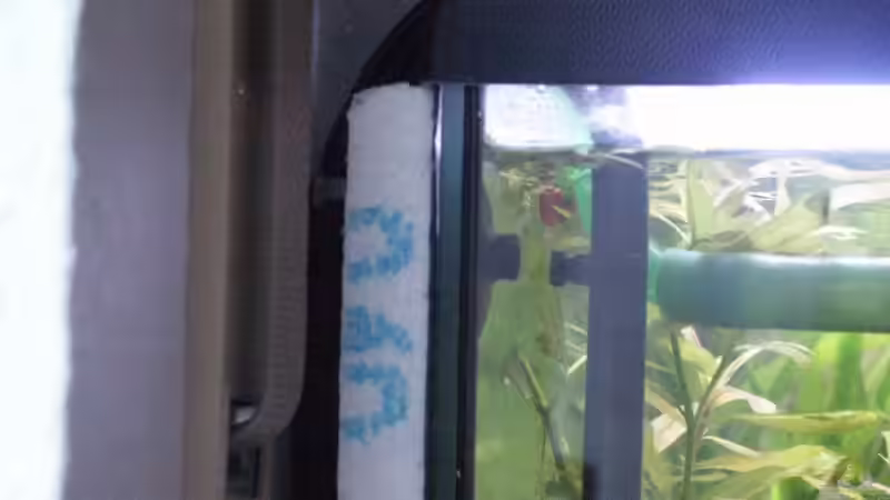 Technik im Aquarium Becken 10969 von Sauerlandmicha (23)