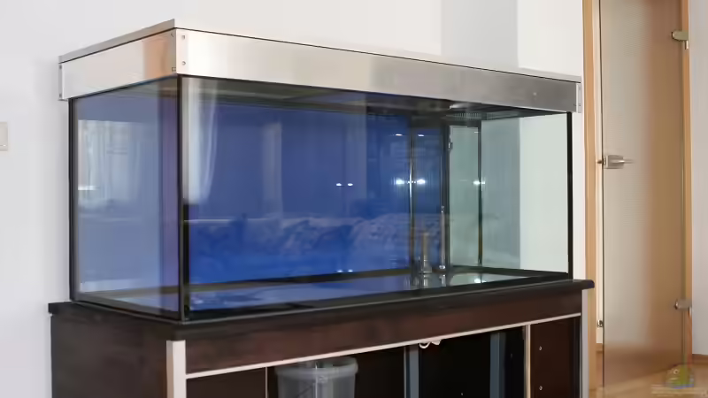 Technik im Aquarium Becken 10971 von horiyoshi (5)