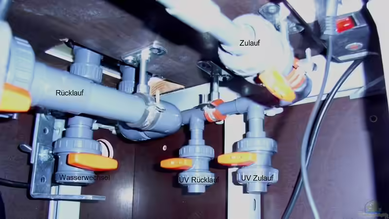 Technik im Aquarium Becken 10971 von horiyoshi (7)