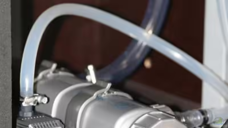 Technik im Aquarium Becken 10971 von horiyoshi (8)