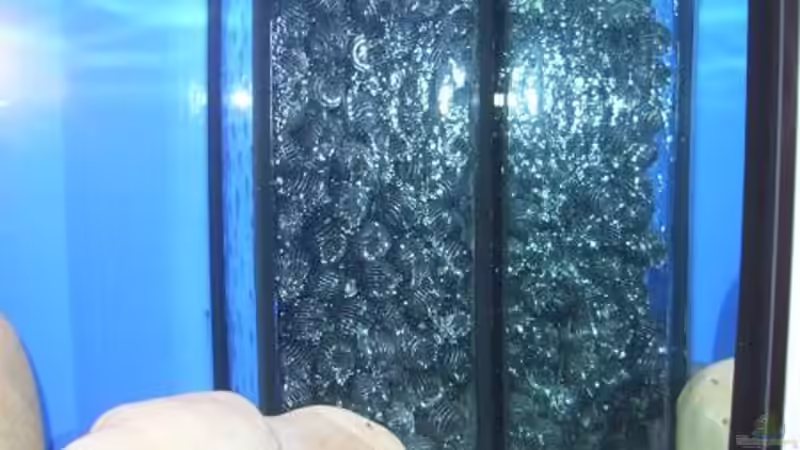 Technik im Aquarium Becken 10971 von horiyoshi (9)
