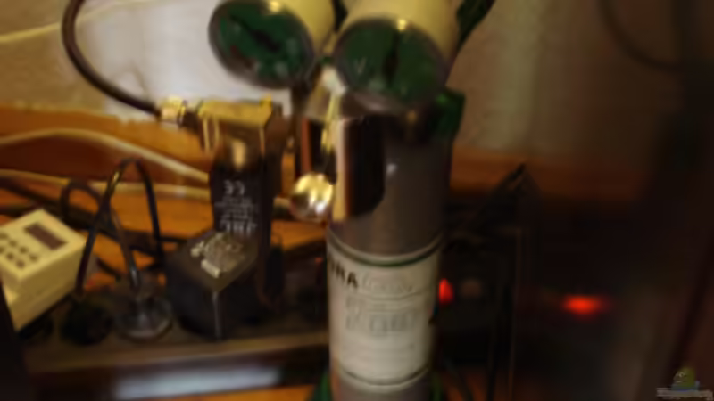 Technik im Aquarium Becken 11021 von Martina & Andreas Deutschmann (18)