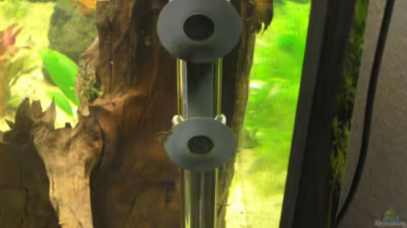 Technik im Aquarium Becken 11021 von Martina & Andreas Deutschmann (19)