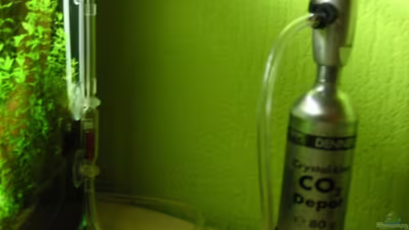 Technik im Aquarium Becken 11047 von Jasmin (9)