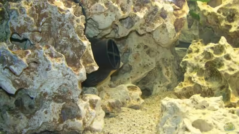 Technik im Aquarium Becken 11069 von Andy Hurm (16)