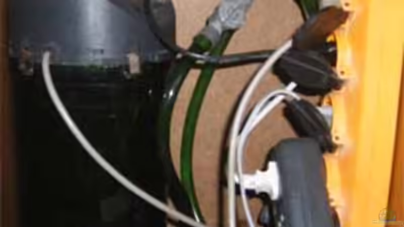 Technik im Aquarium Becken 11234 von malawiwolf (5)