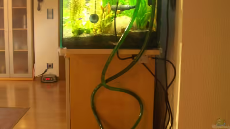 Technik im Aquarium Becken 11259 von Stifflersmom76 (8)