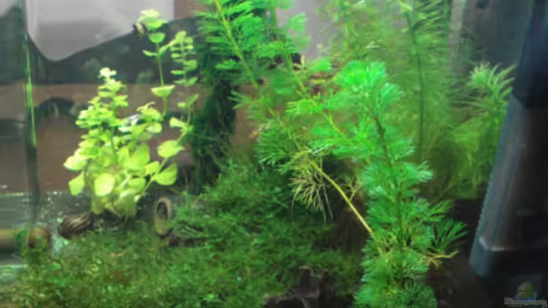 Technik im Aquarium Becken 11276 von Andreas Deutschmann (8)