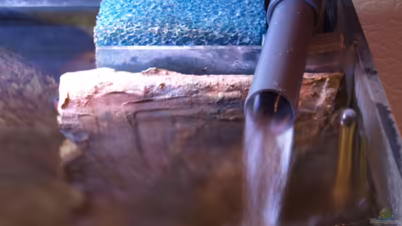 Technik im Aquarium Becken 11282 von Markus Brachmann (3)