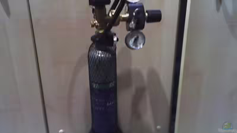 Technik im Aquarium Becken 11316 von Frank Broneske (24)