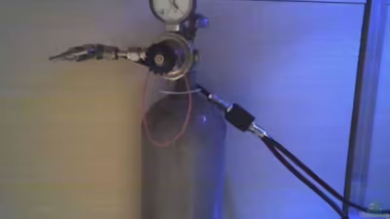 Technik im Aquarium Becken 11316 von Frank Broneske (25)