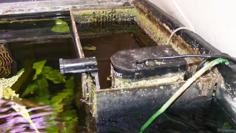 Technik im Aquarium Becken 1135 von Stefan Horvath (10)