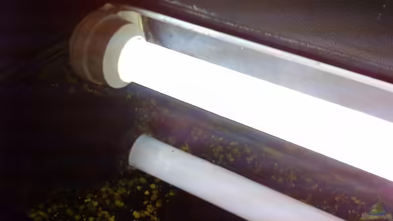 Technik im Aquarium Becken 11378 von Sascha Kiefer (8)