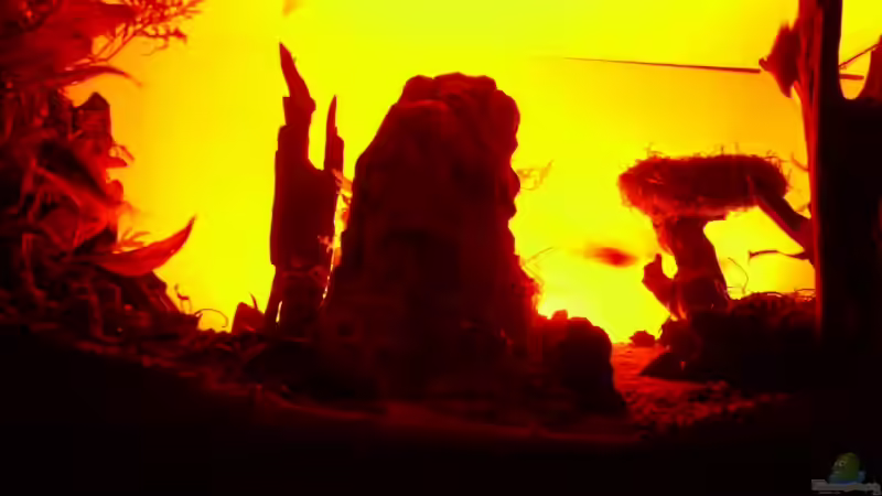 Technik im Aquarium Becken 11416 von Pascal Kapphan (16)