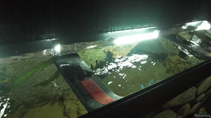 Technik im Aquarium Becken 11465 von Andre Walz (12)